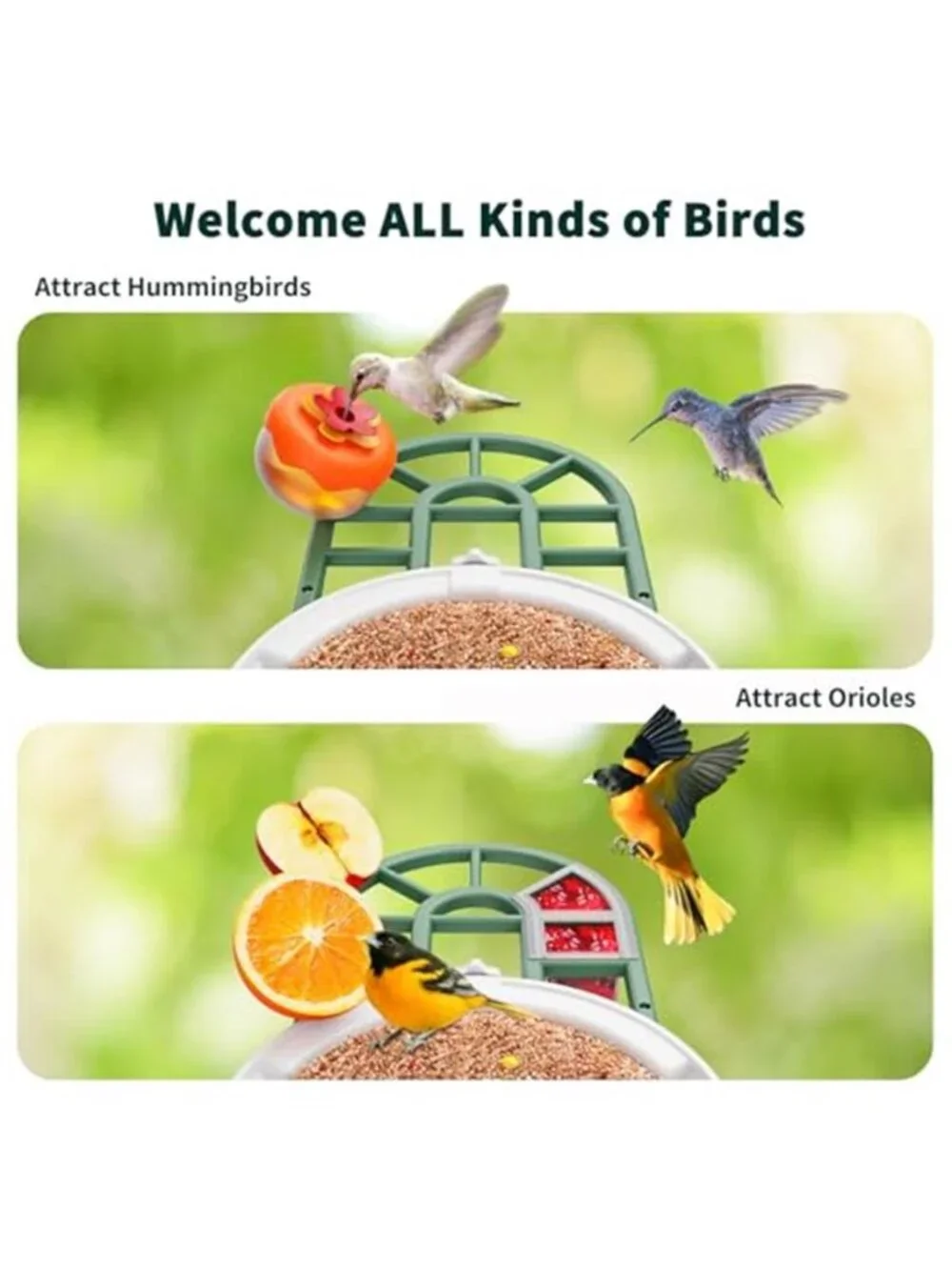 New Bird Feeder with Camera with AI Identify Birds Species Solar Powered